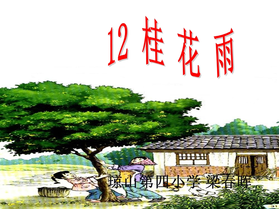 12、桂花雨 .ppt_第1页