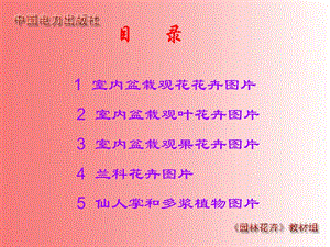 室内盆栽花卉图片总1.ppt