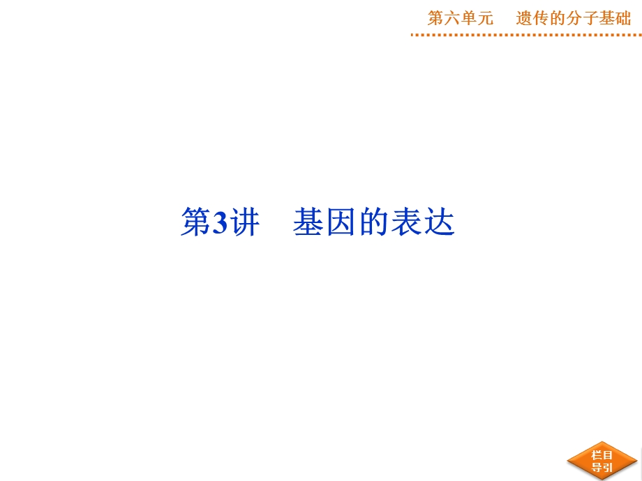 高三复习基因的表达.ppt_第1页