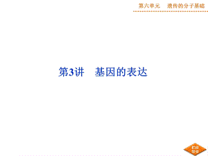 高三复习基因的表达.ppt