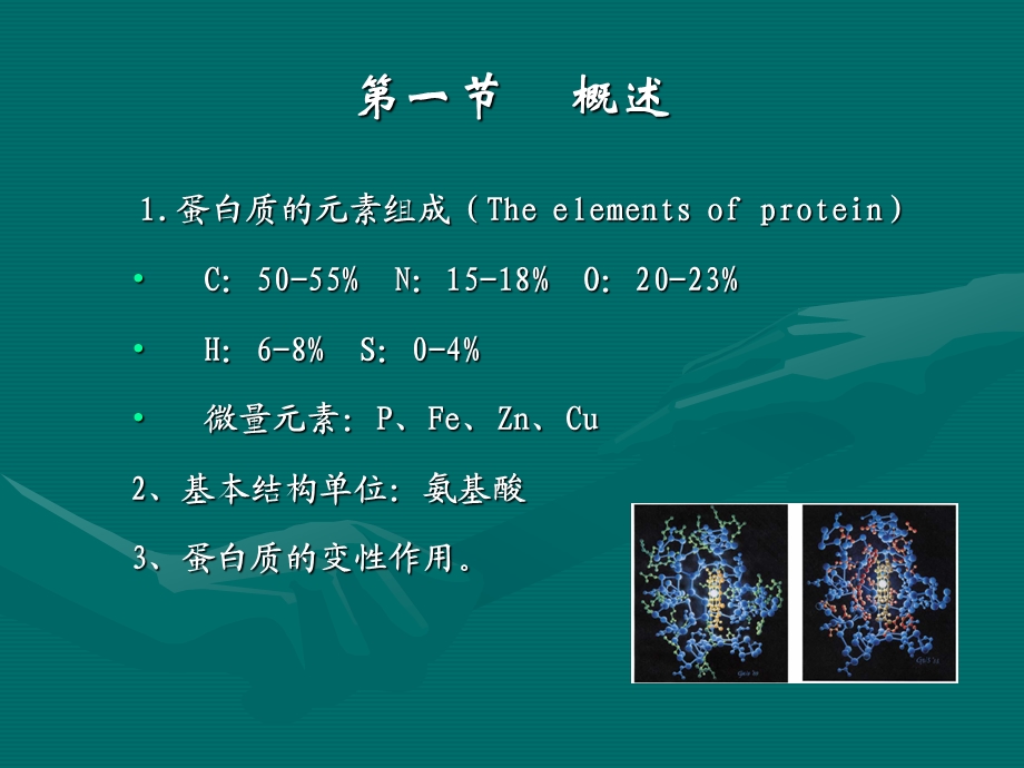 蛋白质和氨基酸的测.ppt_第2页