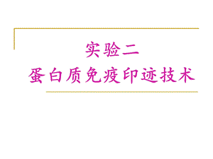 蛋白质免疫印迹.ppt