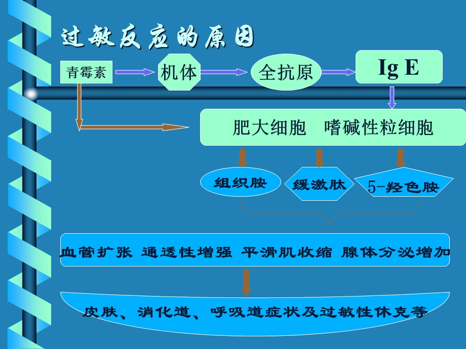 过敏性休克抢救.ppt_第2页