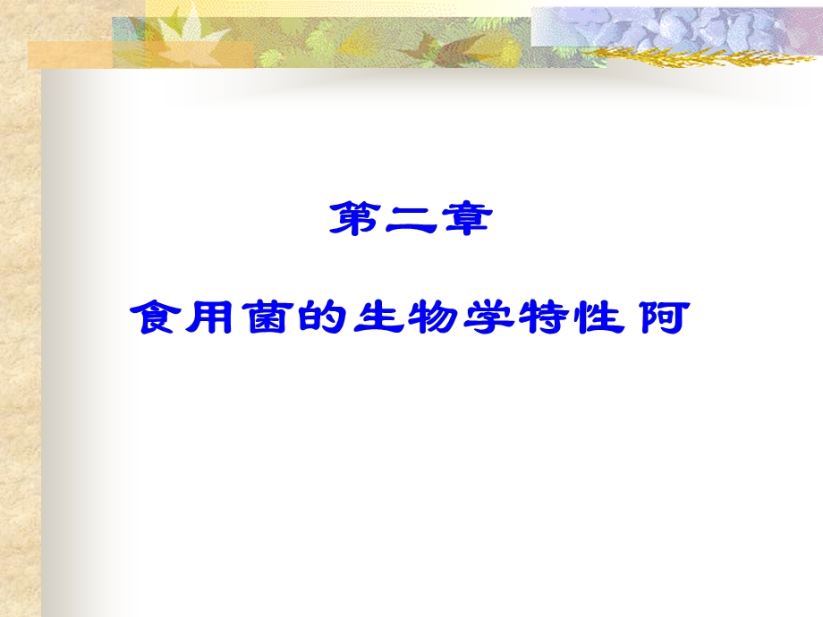 食用菌的生物学特.ppt_第1页