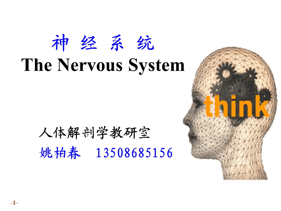 系统解剖学教学资料 n系总论脊髓.ppt_第1页