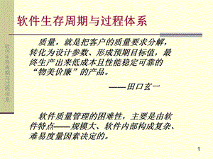 软件生存周期与过程体系.ppt