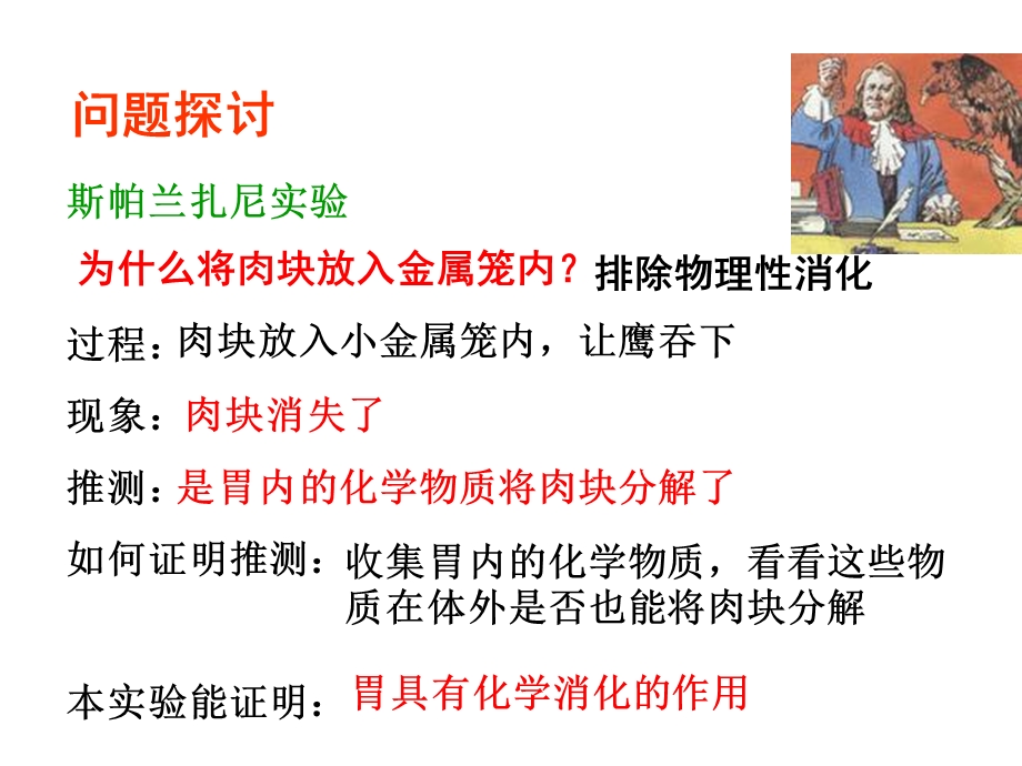 降低化学反应的活化能的酶.ppt_第3页