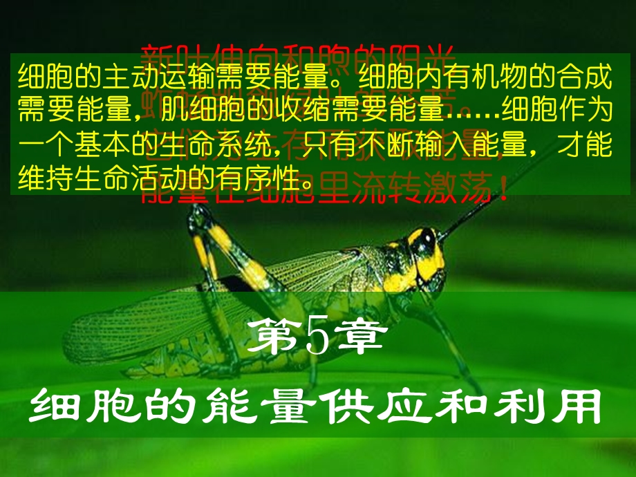 降低化学反应活化能的酶fj.ppt_第1页