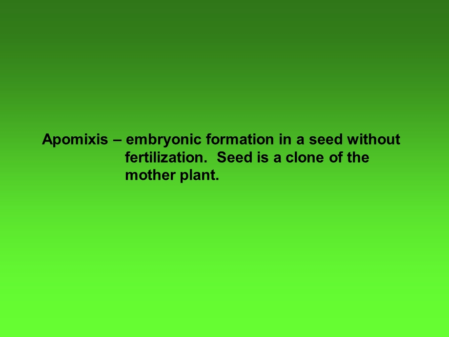 Vegetative (asexual) plant propagation methods繁殖无性植物的繁殖方法.ppt_第3页