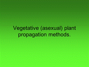 Vegetative (asexual) plant propagation methods繁殖无性植物的繁殖方法.ppt