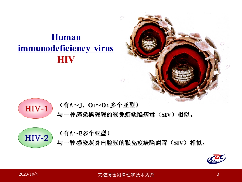 艾滋病检测原理和技术规范.ppt_第3页