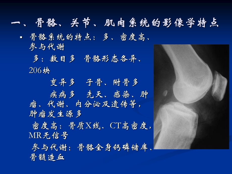 骨关节、肌肉系统影像学诊断.ppt_第2页