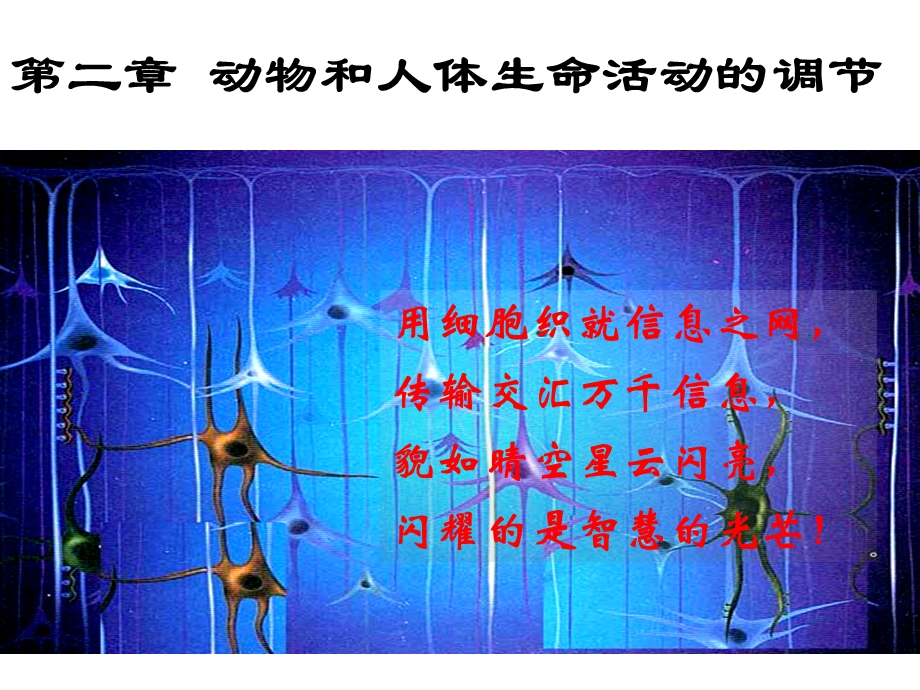 通过神经系统的调节上课很实用.ppt_第1页