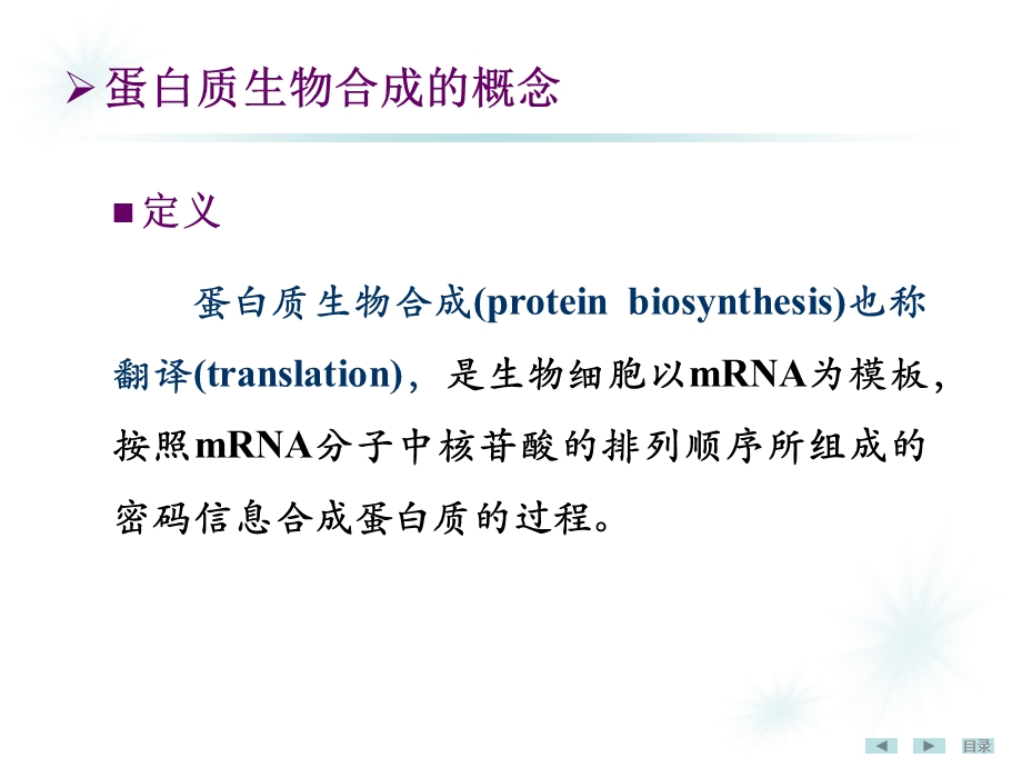 蛋白质生物合成中药.ppt_第2页