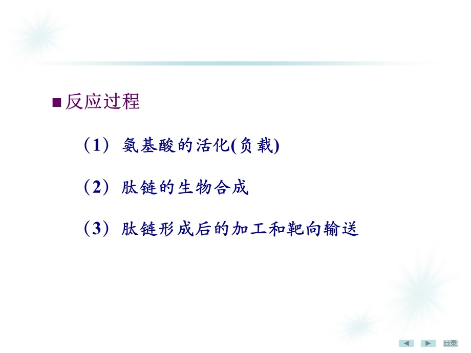 蛋白质生物合成中药.ppt_第3页