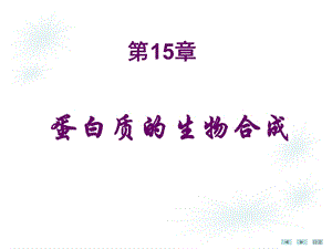 蛋白质生物合成中药.ppt