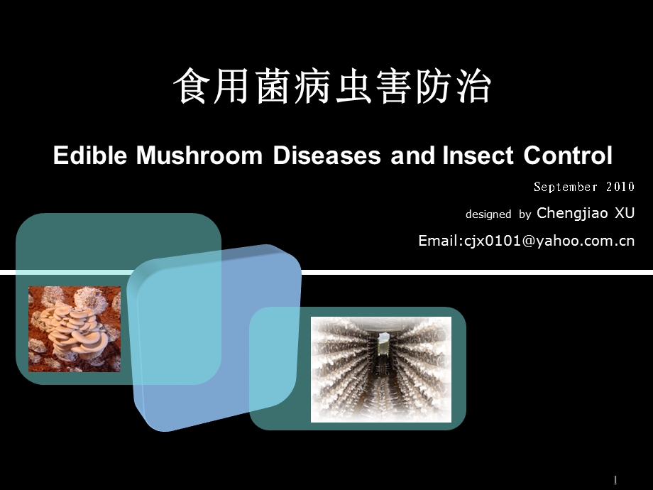 食用菌病虫害防治课件.ppt_第1页