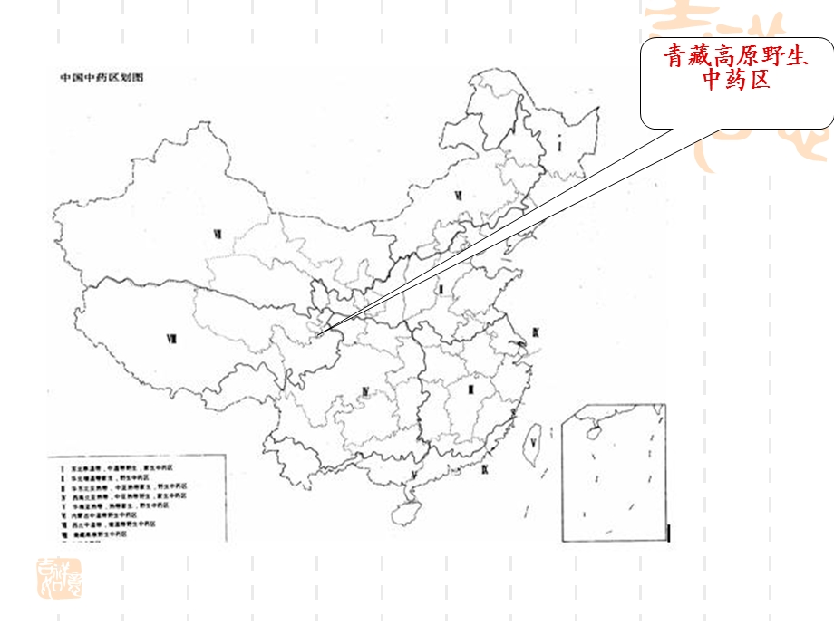 青藏高原野生中药区.ppt_第2页