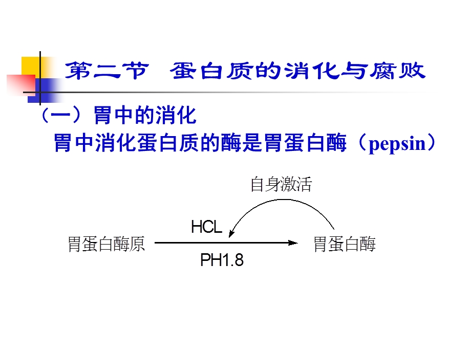 蛋白质的消化与腐败.ppt_第1页