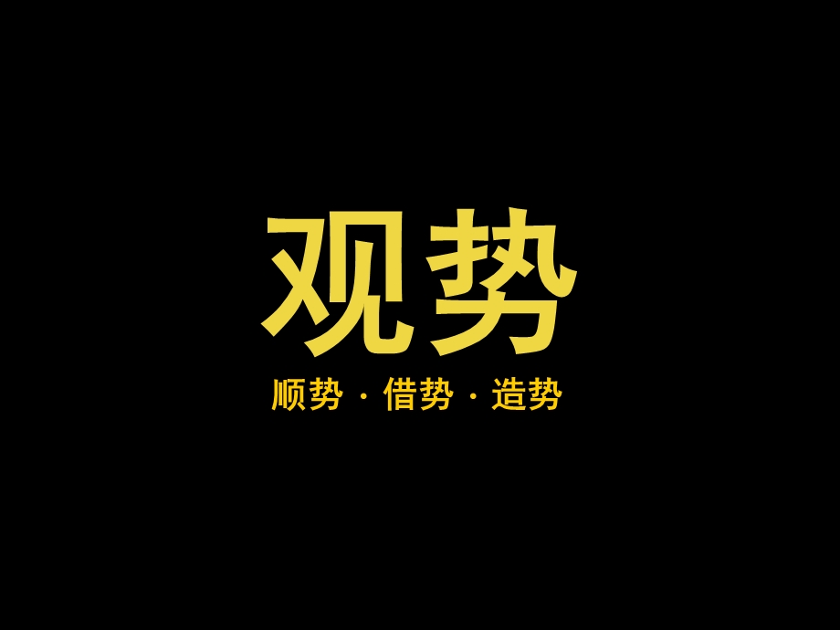 湘西吉首边城商厦策划案.ppt_第3页