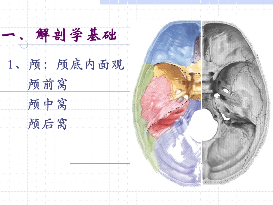 颅脑断层解剖课件.ppt_第3页