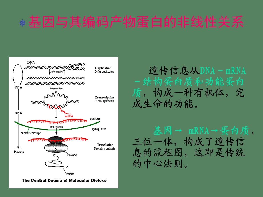 蛋白质组学修.ppt_第3页