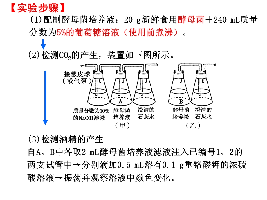 酵母菌细胞呼吸.ppt_第2页