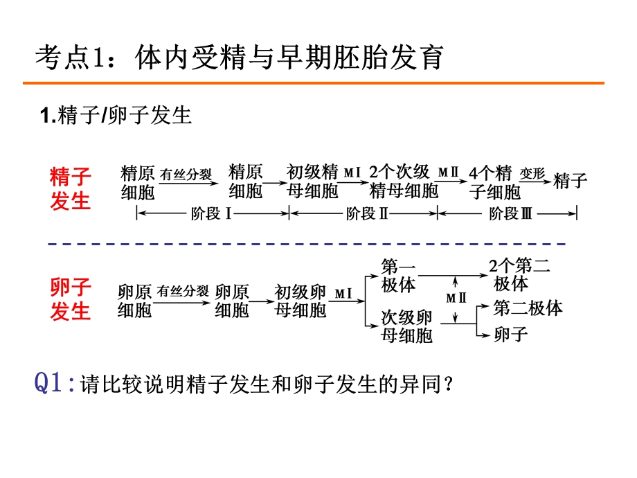 胚胎工程高三一轮复习公开课.ppt_第1页