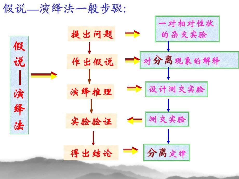 自由组合定律比赛课件.ppt_第3页