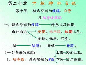 解剖学脑被膜、脑血管、脑脊液.ppt