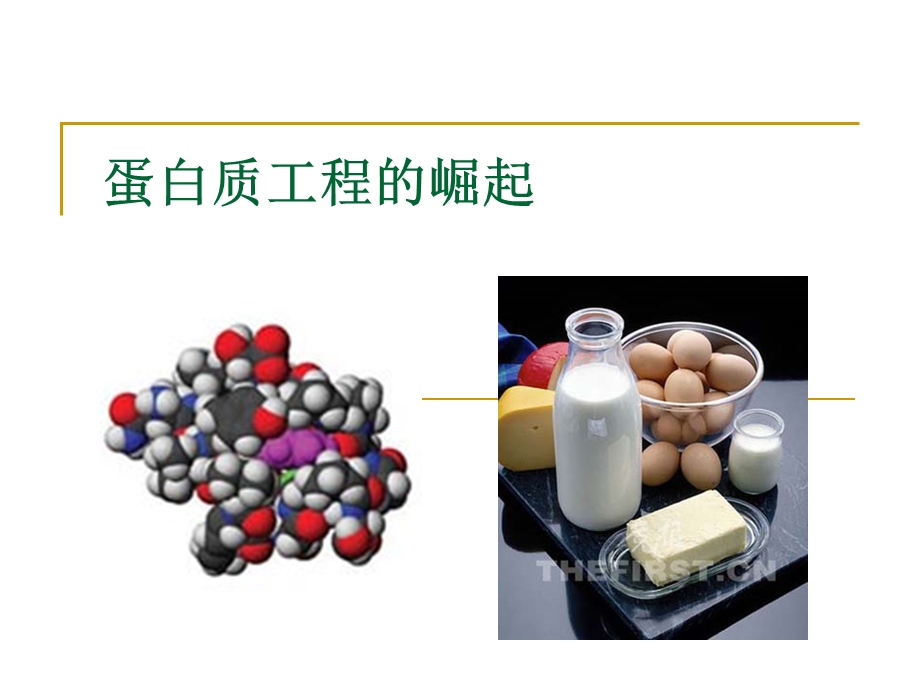 蛋白质工程的崛起上课用.ppt_第1页