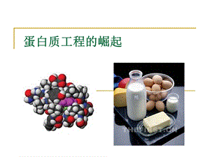 蛋白质工程的崛起上课用.ppt