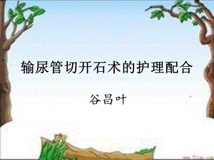 输尿管切开石术的护理配合.ppt