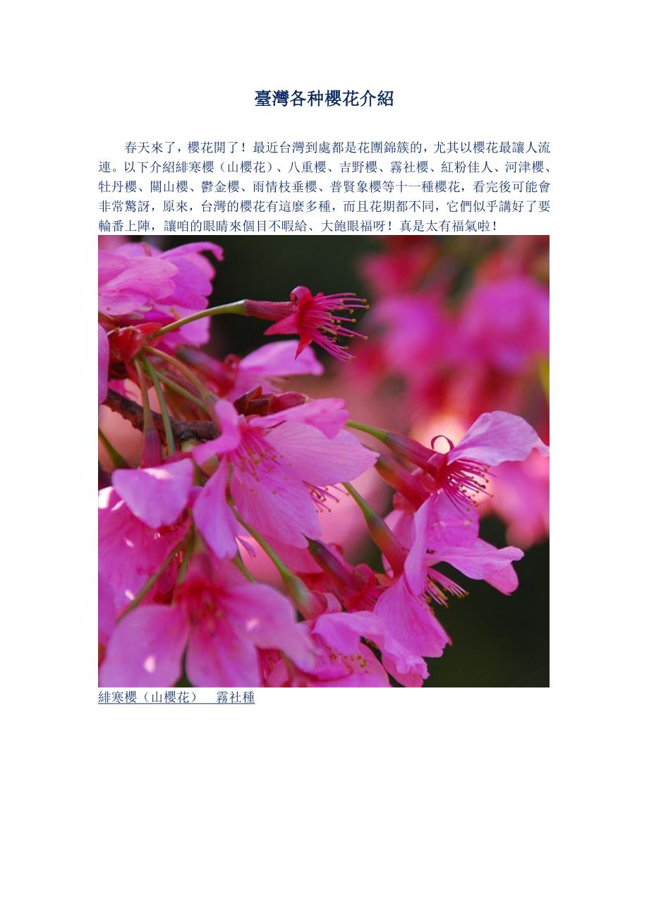 台湾各种樱花介绍.docx_第1页