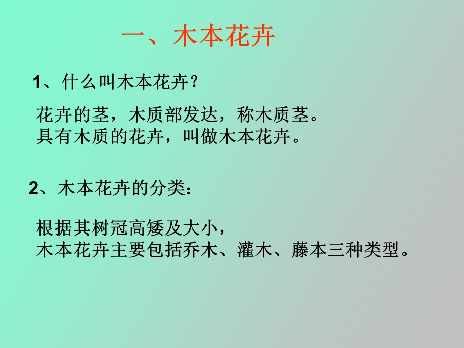 认识常见花卉.ppt_第3页