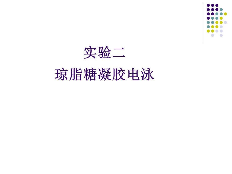 实验二 琼脂糖凝胶电泳.ppt_第1页