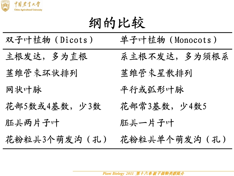 被子植物主要类群简介.ppt_第2页