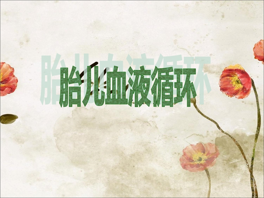 胎儿血液循环及出生后变化.ppt_第2页