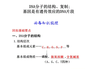 高三复习DNA分子的结构、复制及基因.ppt