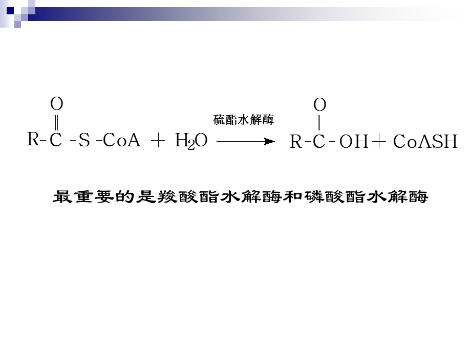 食品酶学酯酶和过氧化物酶.ppt_第2页