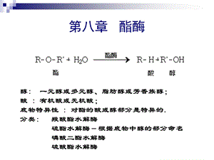 食品酶学酯酶和过氧化物酶.ppt