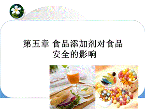 食品添加剂的安全性及控制.ppt