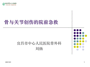 骨与关节创伤的院前急救.ppt