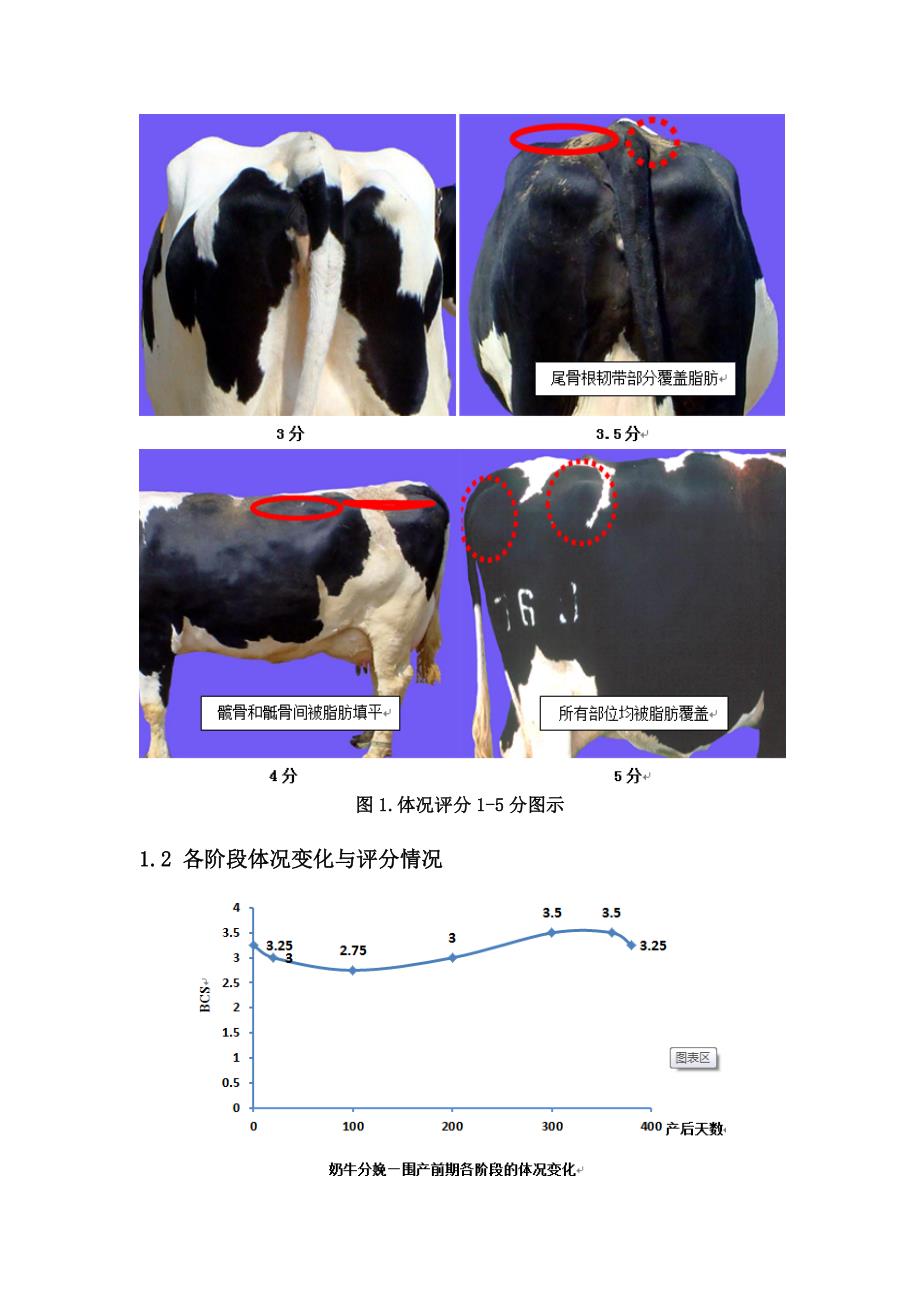 奶牛围产期各项流程规范.docx_第2页