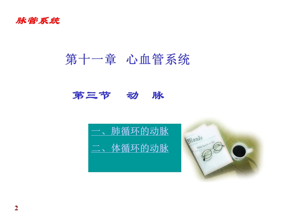 脉管系统肺循环和体循环的动脉解剖.ppt_第2页