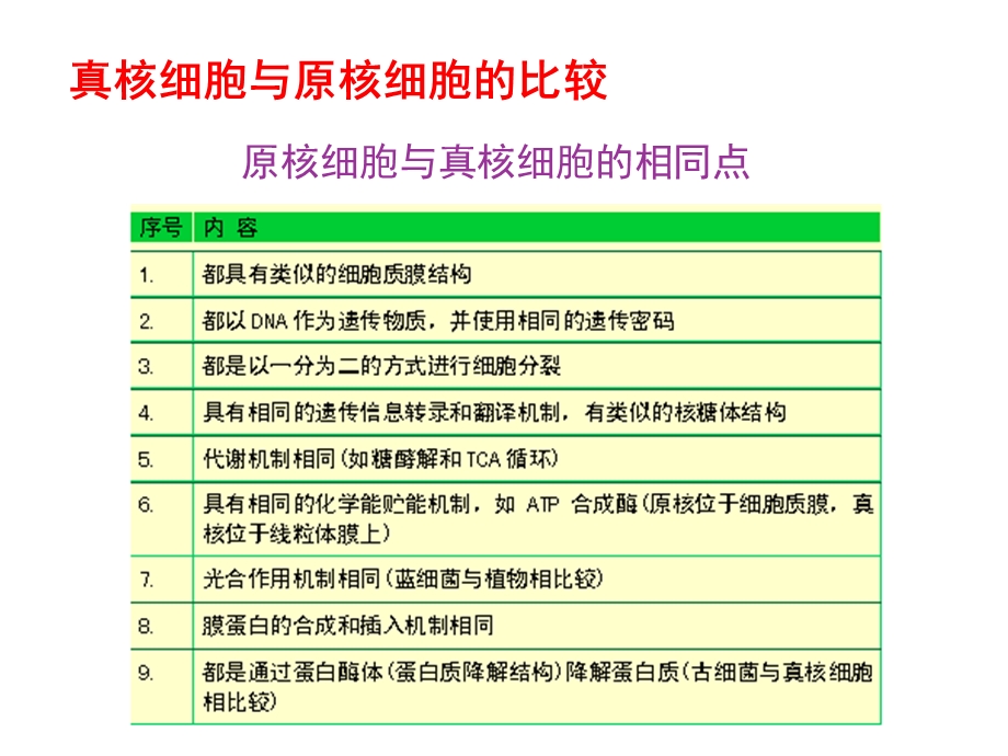 部分第一节原核微生物.ppt_第3页