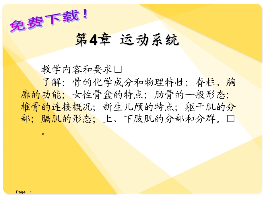 解剖学基础课件第4章运动系统.ppt_第1页