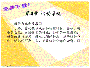 解剖学基础课件第4章运动系统.ppt