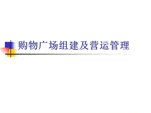 购物中心的筹建及营运管理.ppt