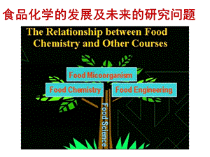 食品化学的发展及未来的研究问题.ppt